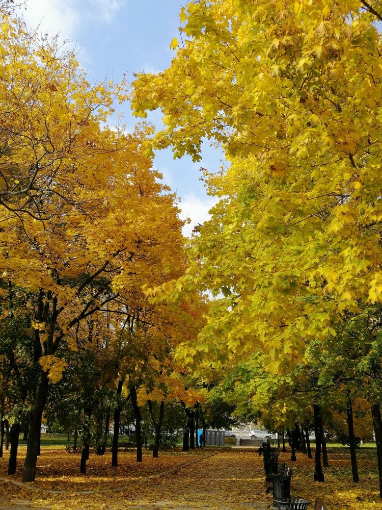 Photograph by Ольга Сапожникова