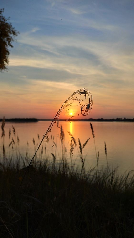 Photograph by Александр Лунин