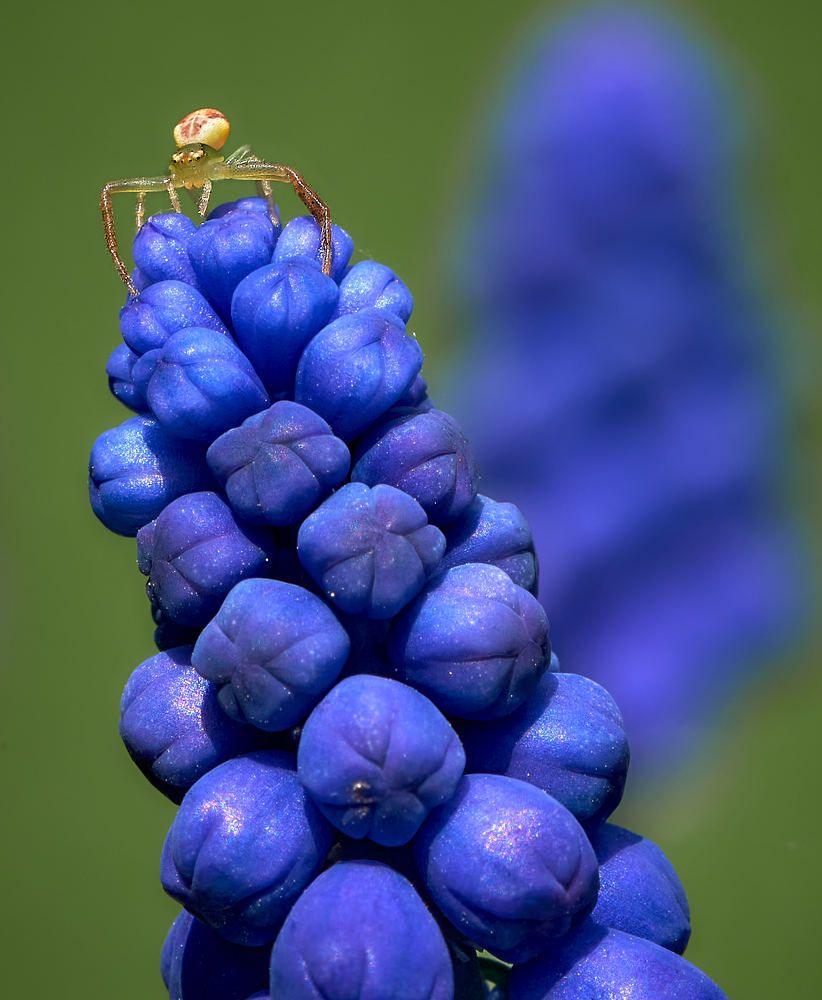 Photograph by Игорь Тымчук