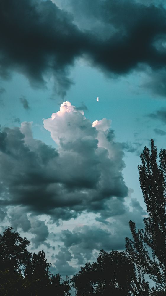 Фотография автора Кристина Шефер