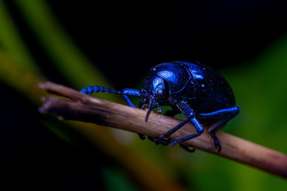 Photograph by Rahul Khadiwala