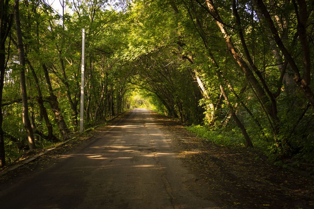 Photograph by Жанна