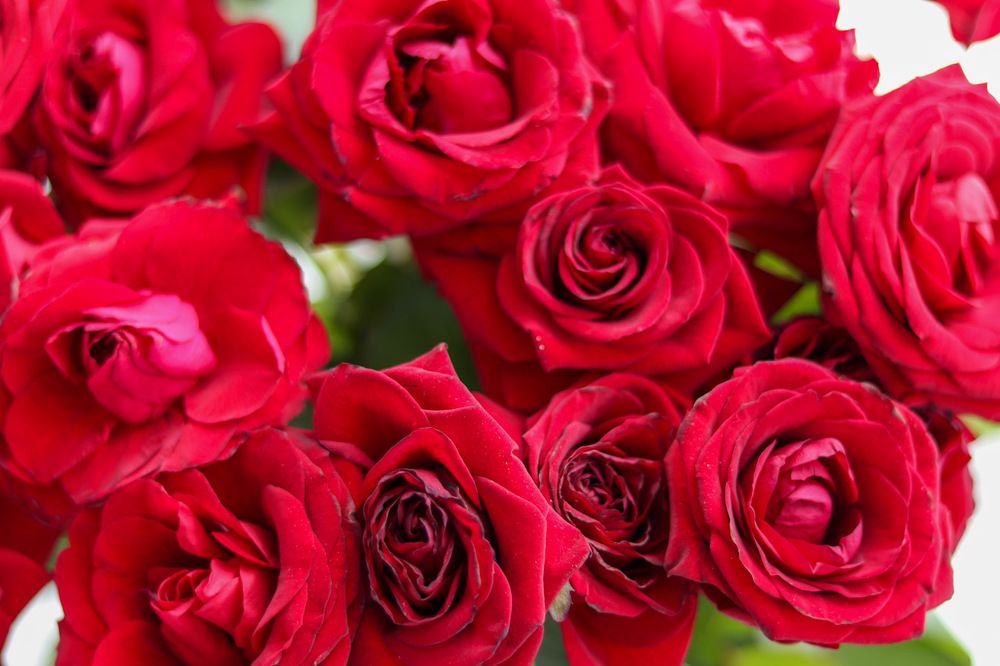 Photograph by Лилия Васильева