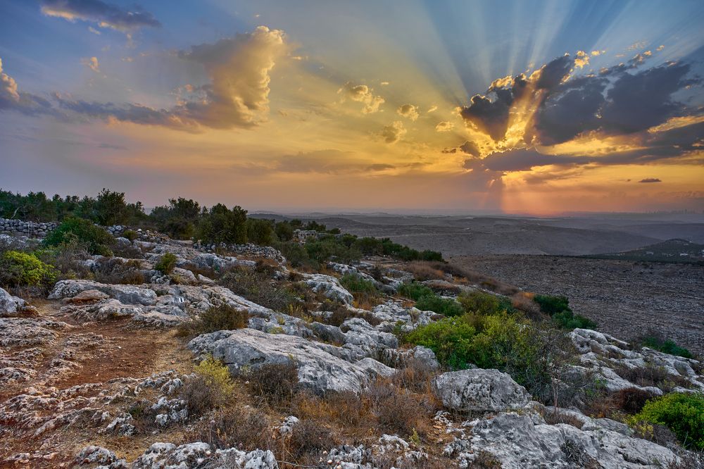 Фотография автора David Solodar