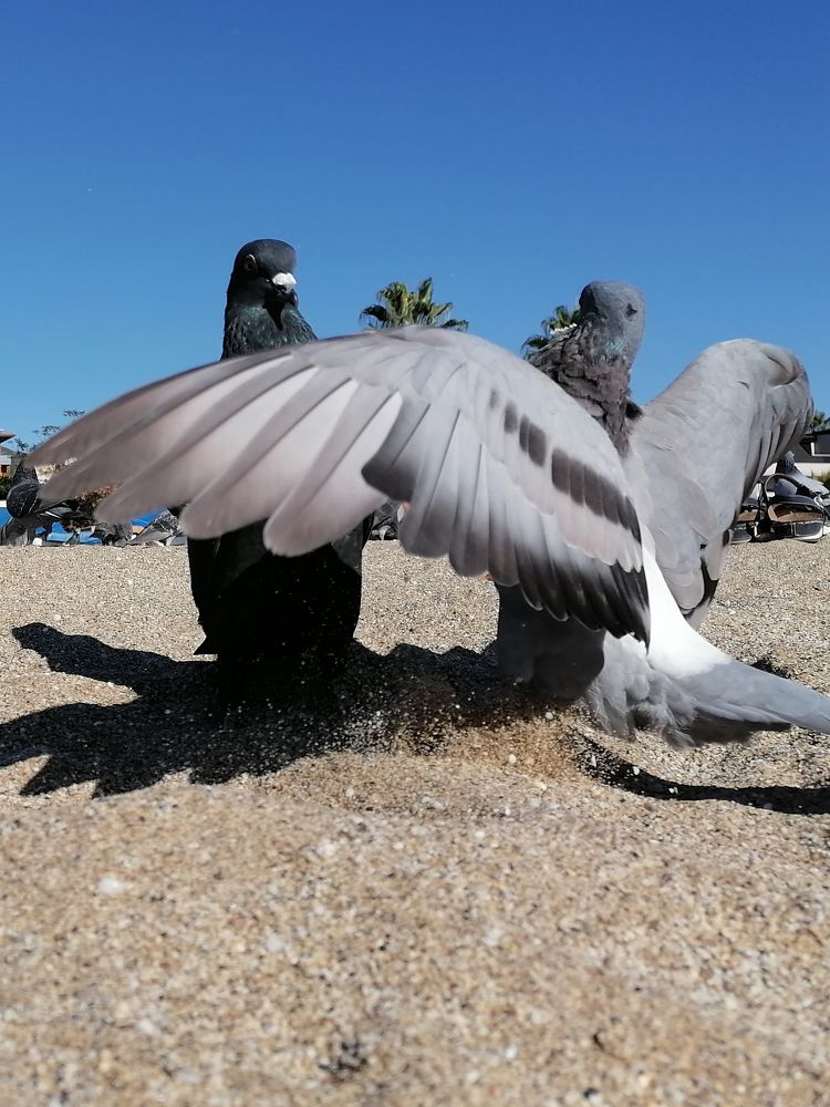 Photograph by Людмила Савчук