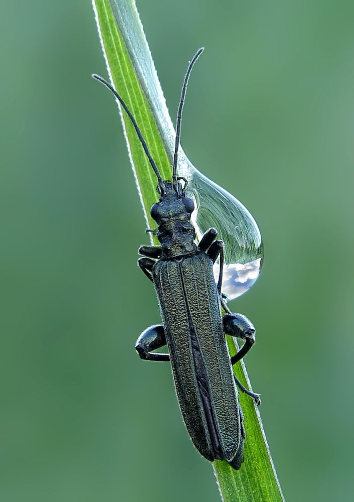 Photograph by Павел Колеснев