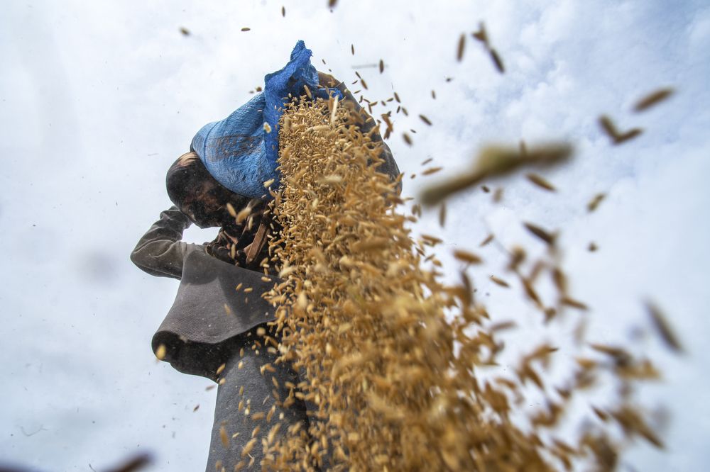 God's Grace Poured Out