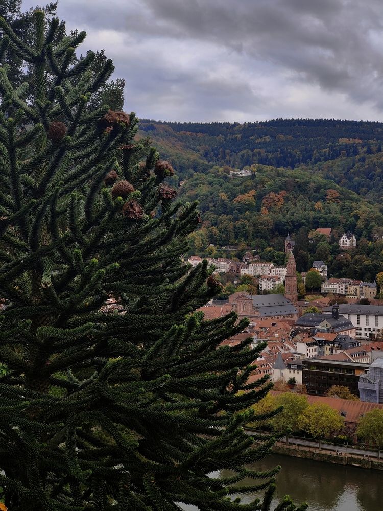 Фотография автора Laura Skwarek