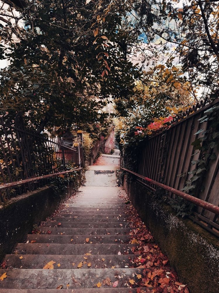 Фотография автора Laura Skwarek