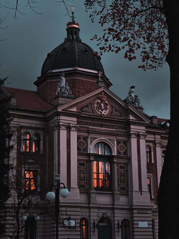 Университет