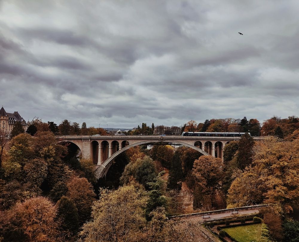 Фотография автора Laura Skwarek