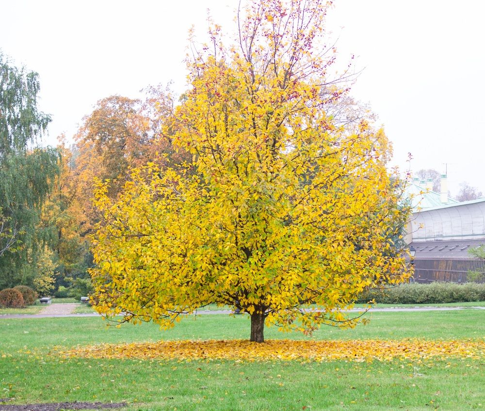 Photograph by Анна Авилочкина