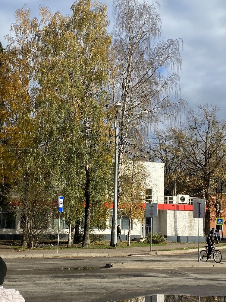 Photograph by NATALJA ROGALOVA