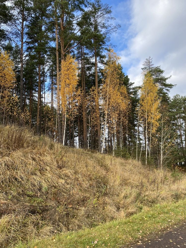 Photograph by NATALJA ROGALOVA