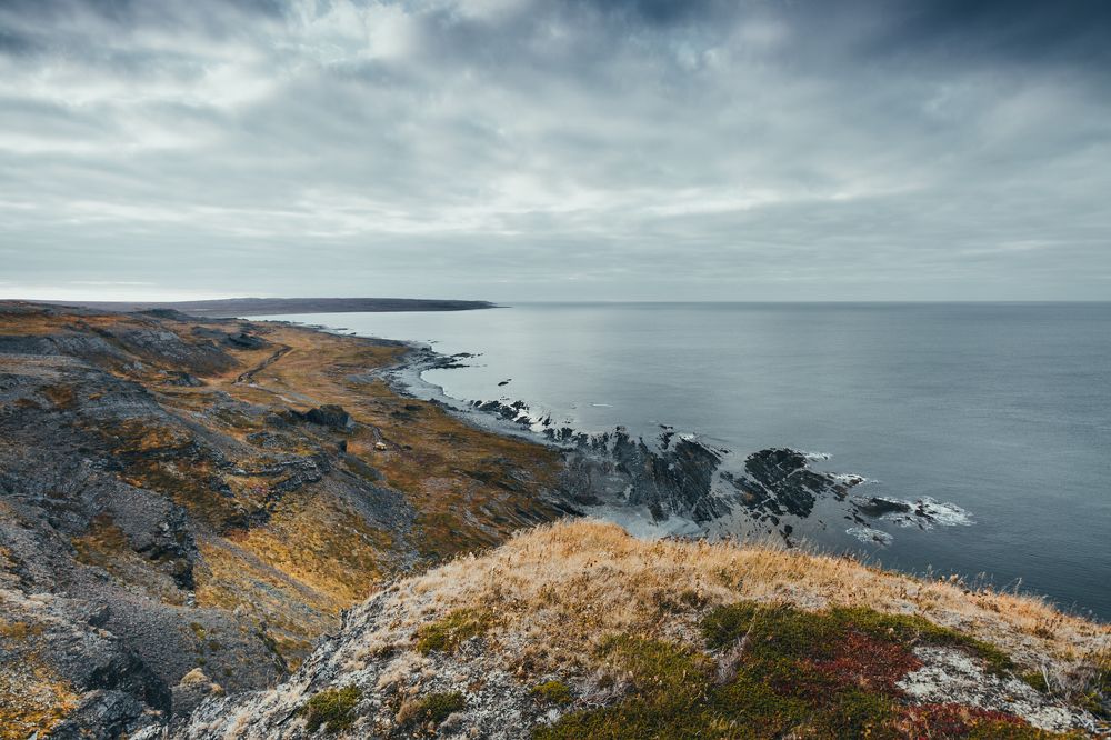 Фотография автора Андрей Русских