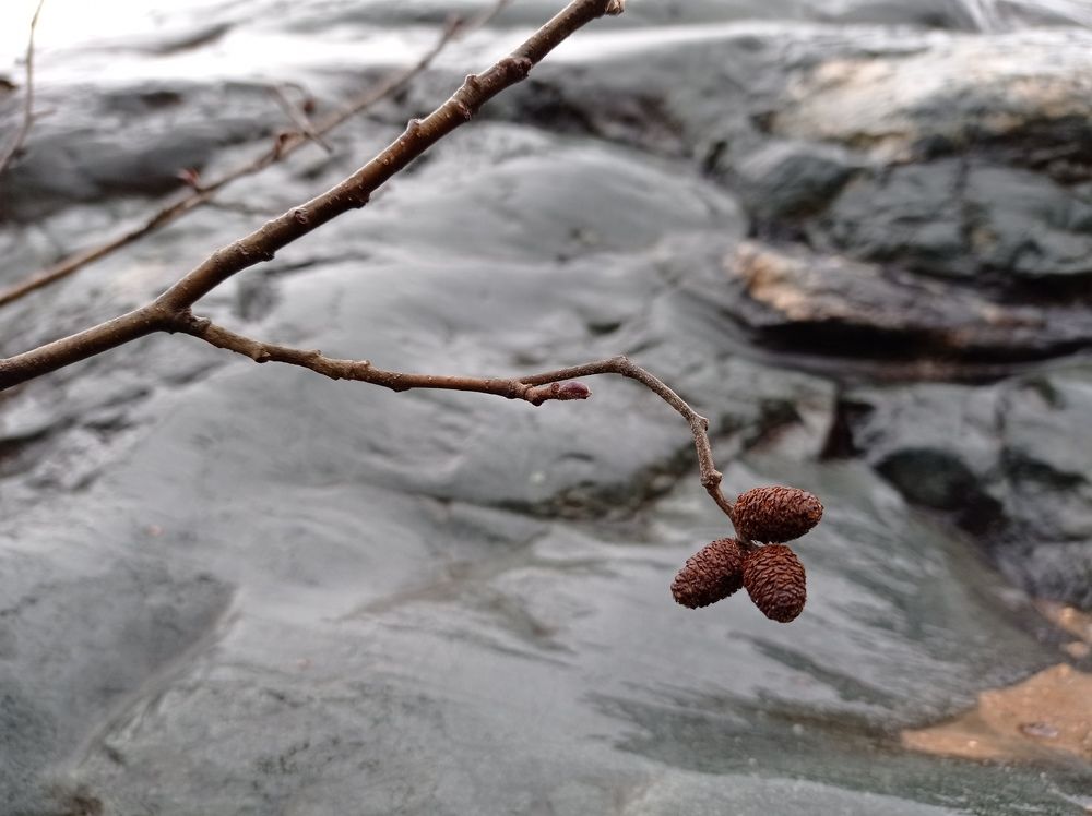 Photograph by Нина Чугунова