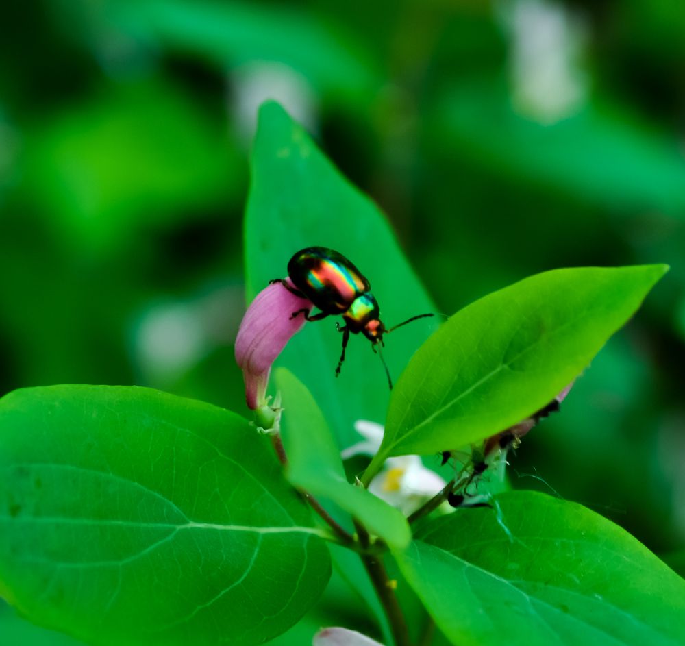 Photograph by Любовь Бусова