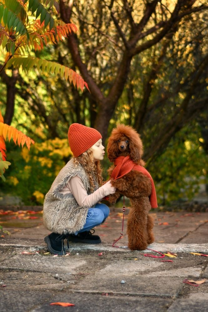 Photograph by Валентина Хмелевская