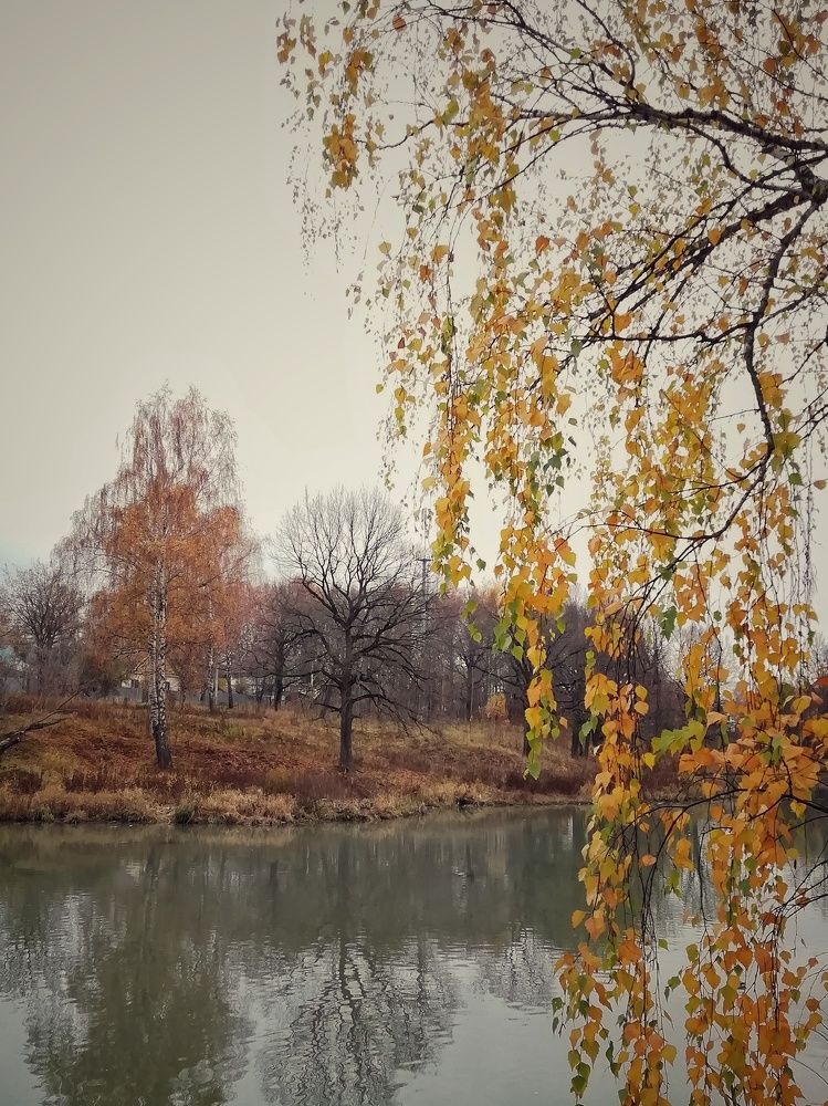 Photograph by Екатерина Чижевская