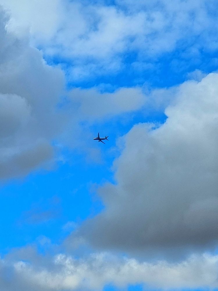 Фотография автора Elvira Cutler