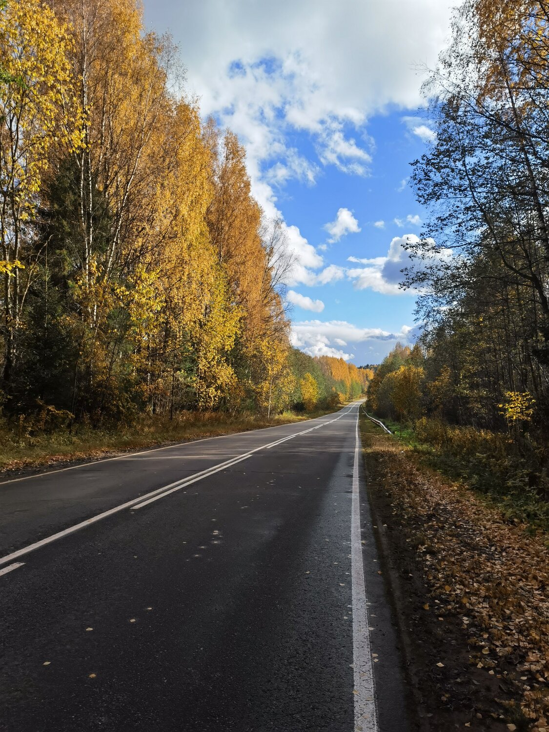 Photo #8257919