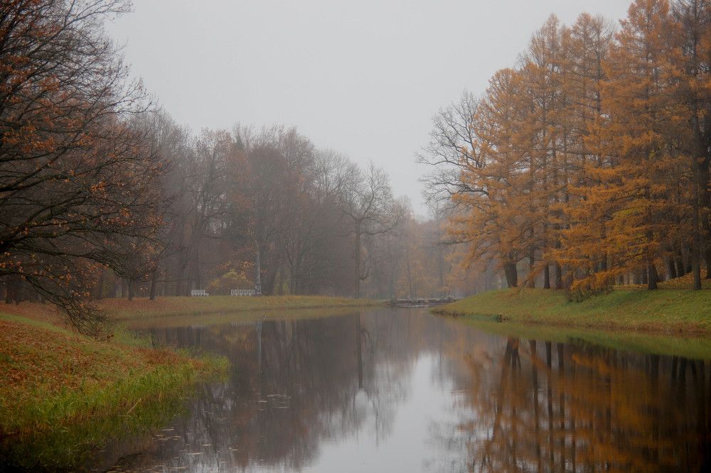 Photograph by Александр Трифанов