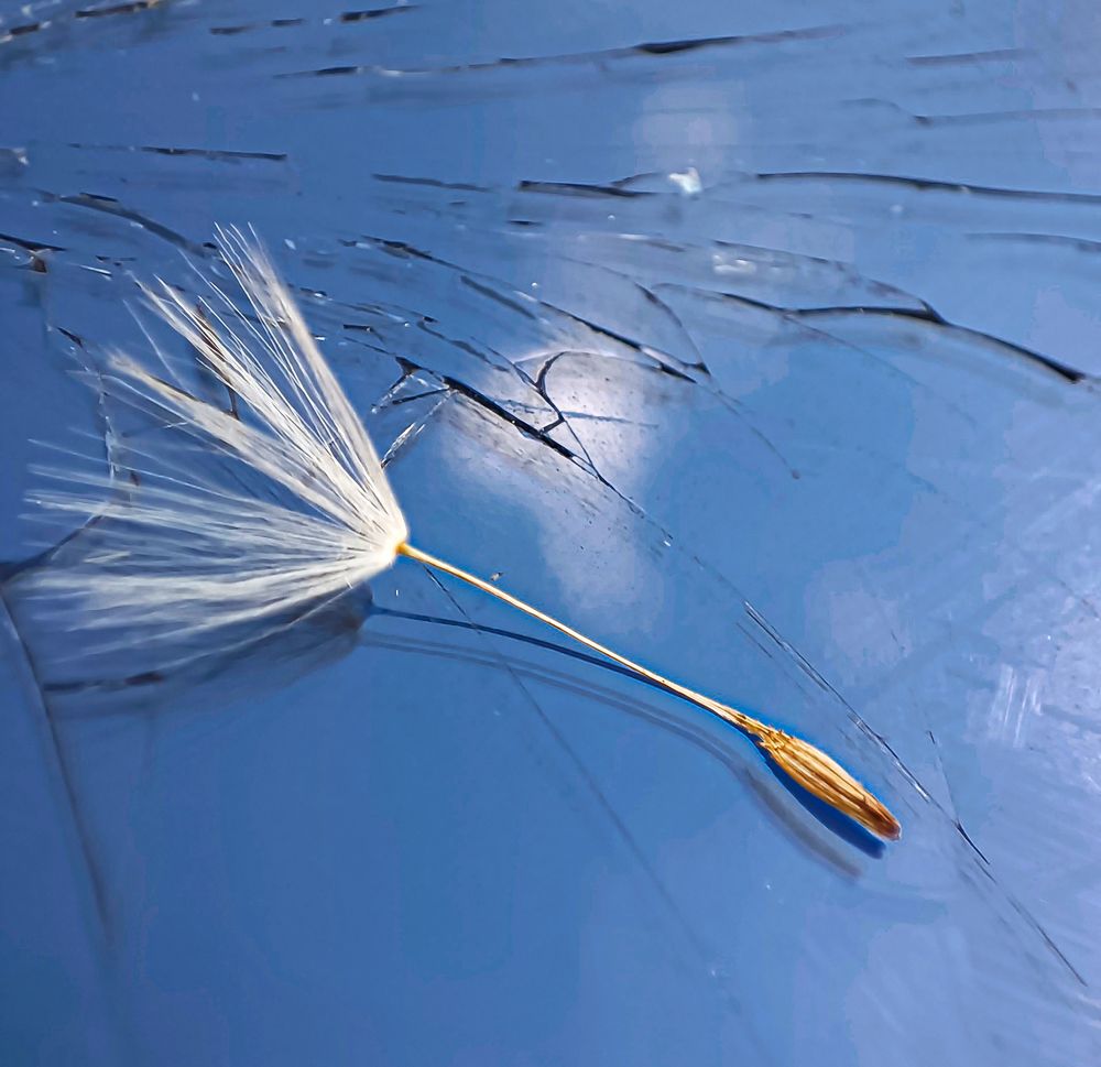 Photograph by Викулов Сергей