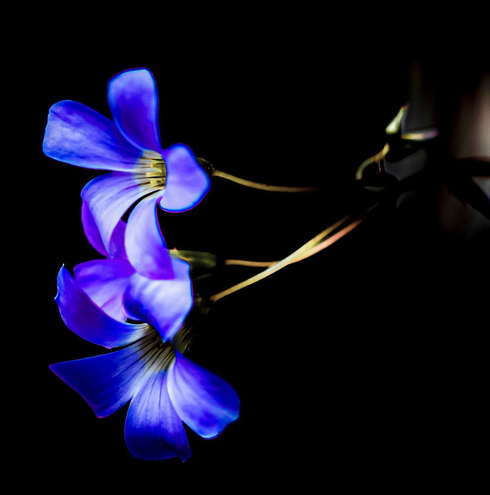 Photograph by Викулов Сергей