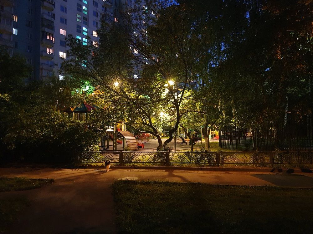 Photograph by Valeriya Veltishcheva