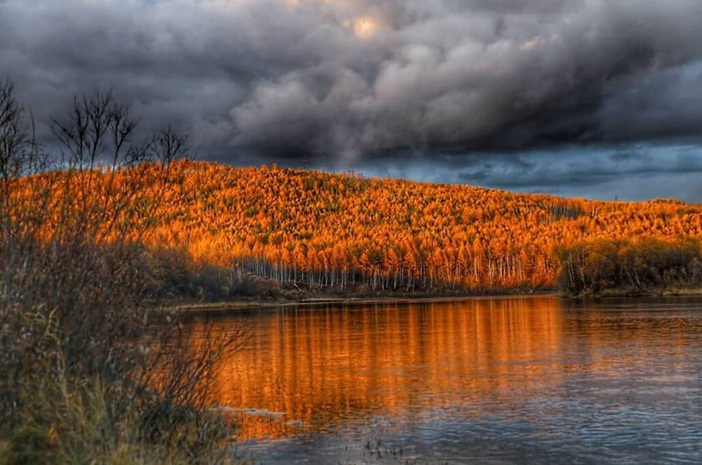 Photograph by Мария Овсечук