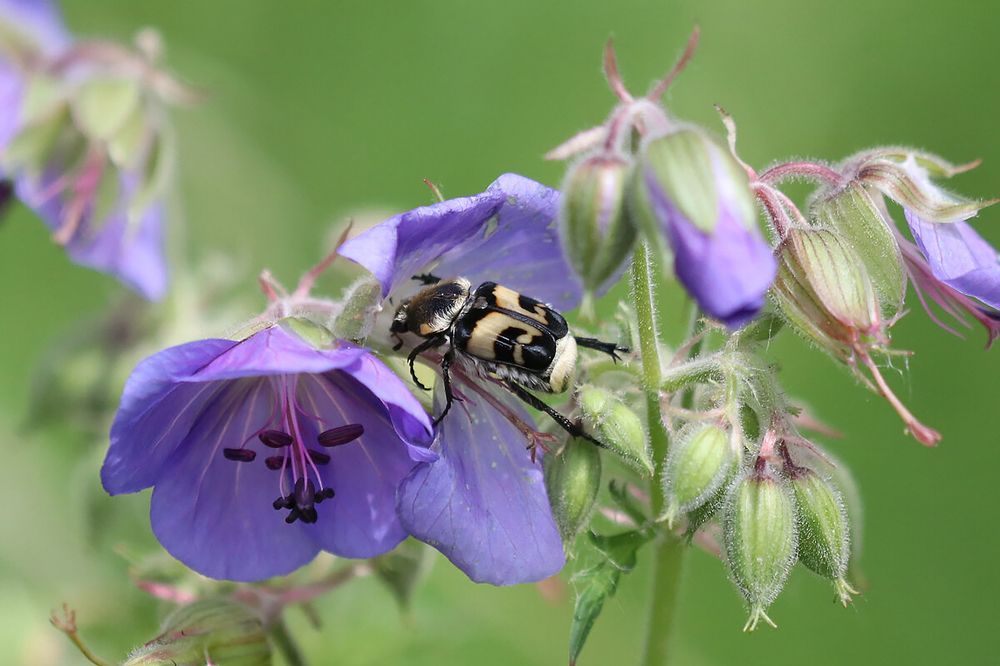 Photograph by Мария Овсечук
