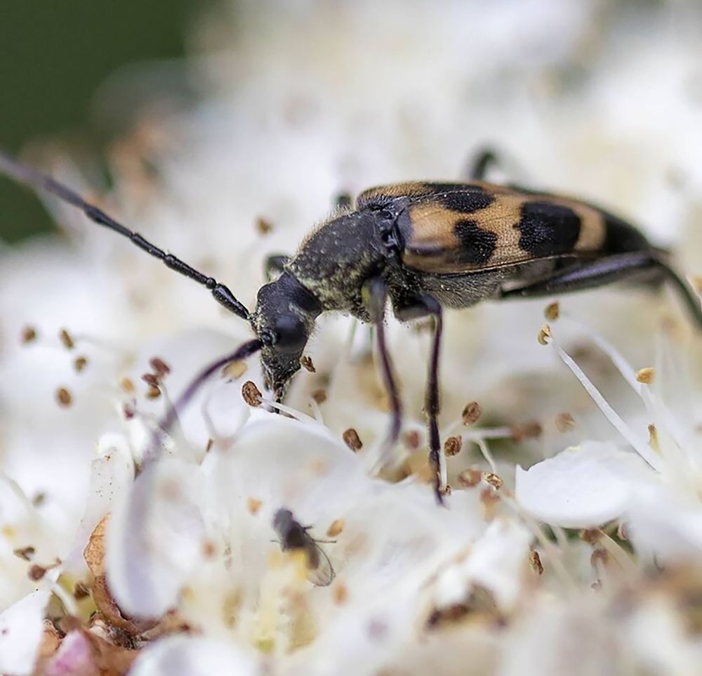 Photograph by Мария Овсечук