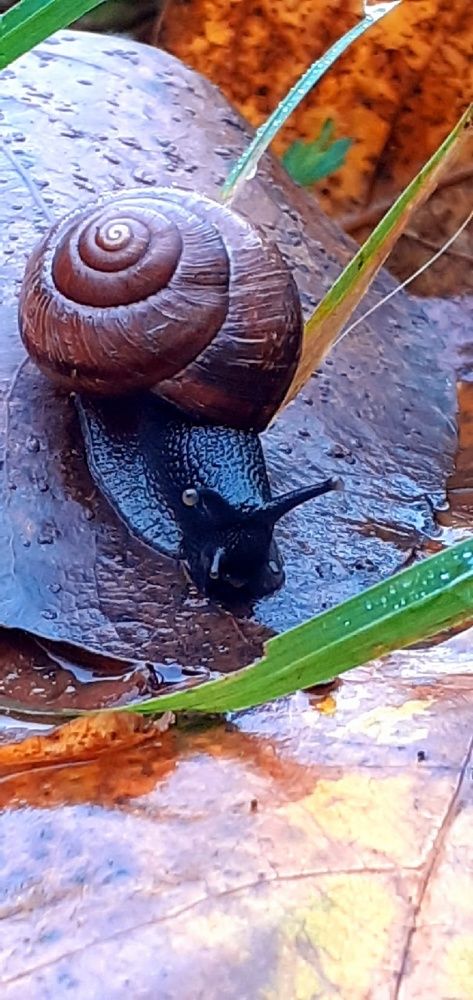 Photograph by Евгения Ульянова