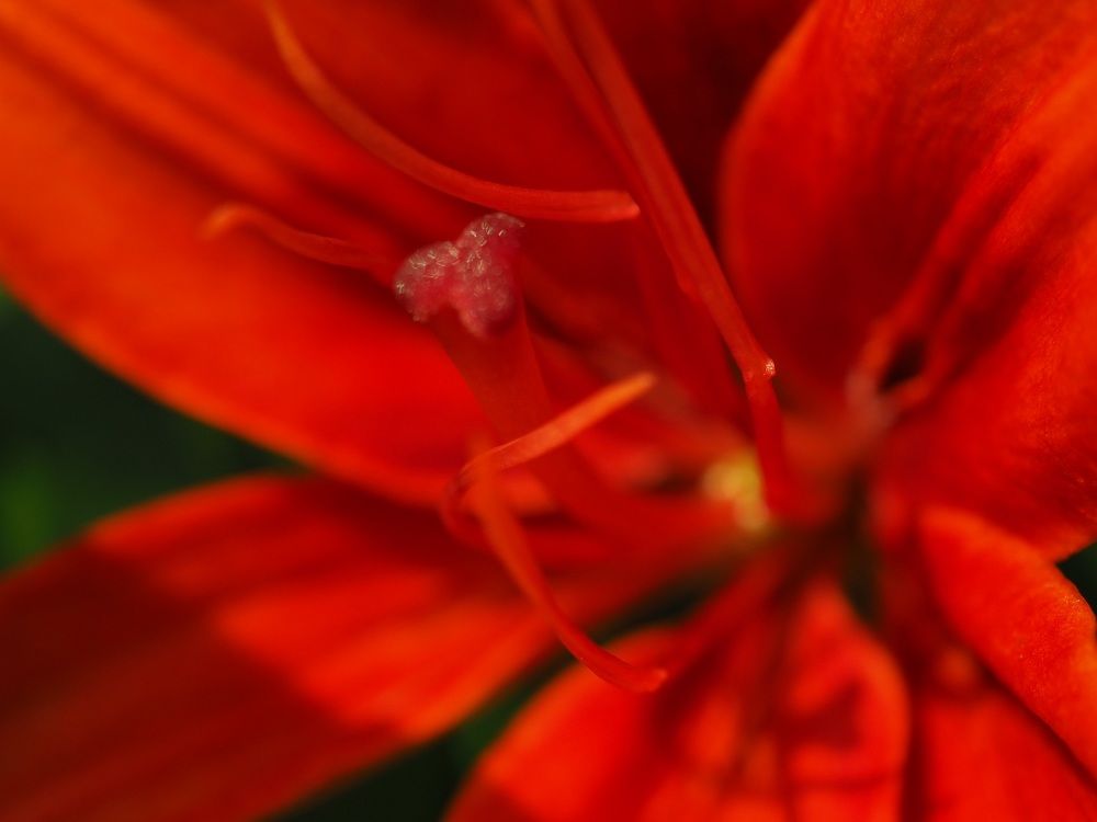 Photograph by МАрина Соловьева