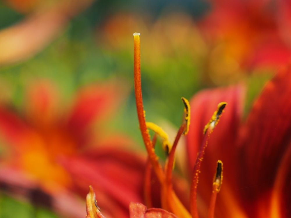 Photograph by МАрина Соловьева