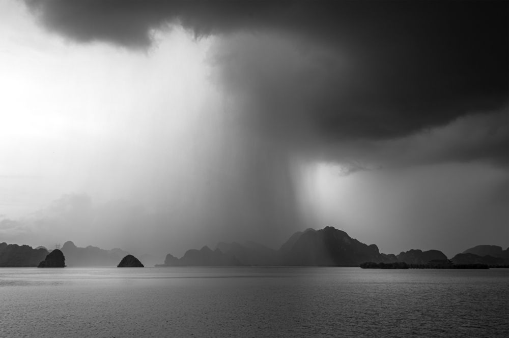 Фотография автора Bảo Nguyễn Gia