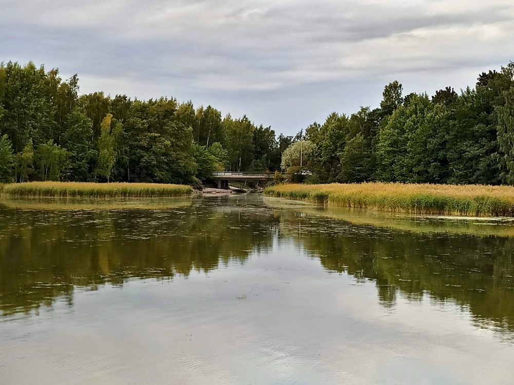 Photograph by Mostafa Shahriar