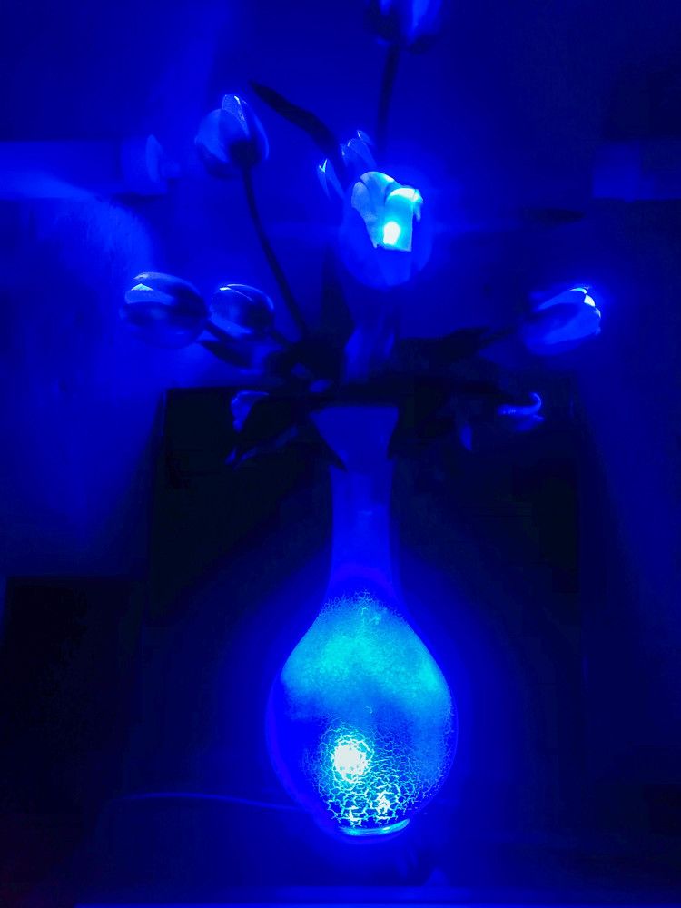 Фотография автора Виталий Дузь