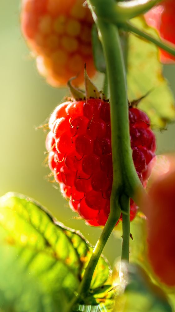 Фотография автора Владимир Зубков