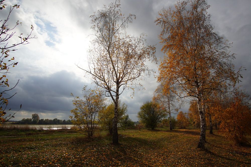 Фотография автора Вадим Коваленко