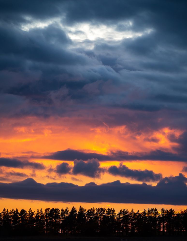 Фотография автора Вадим Демченко