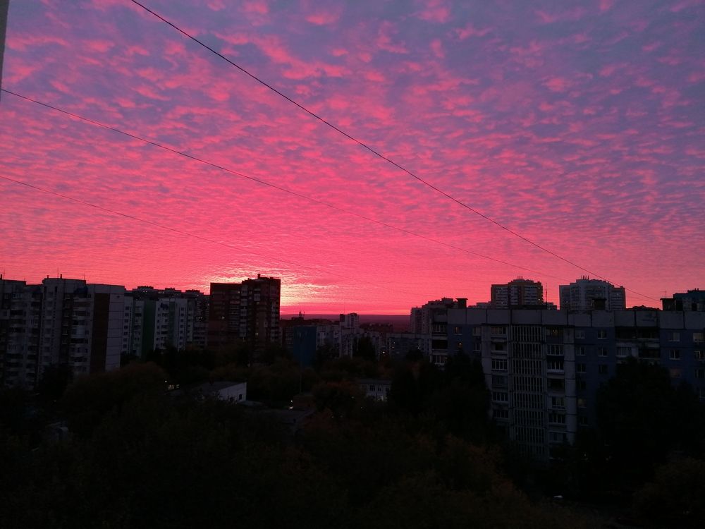 Photograph by Кристина Шмырева