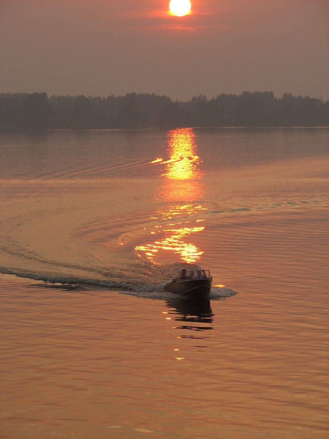 Photo #8258619