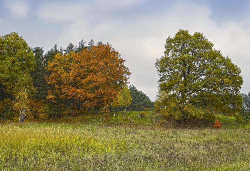 Photograph by Анатолий Максимов