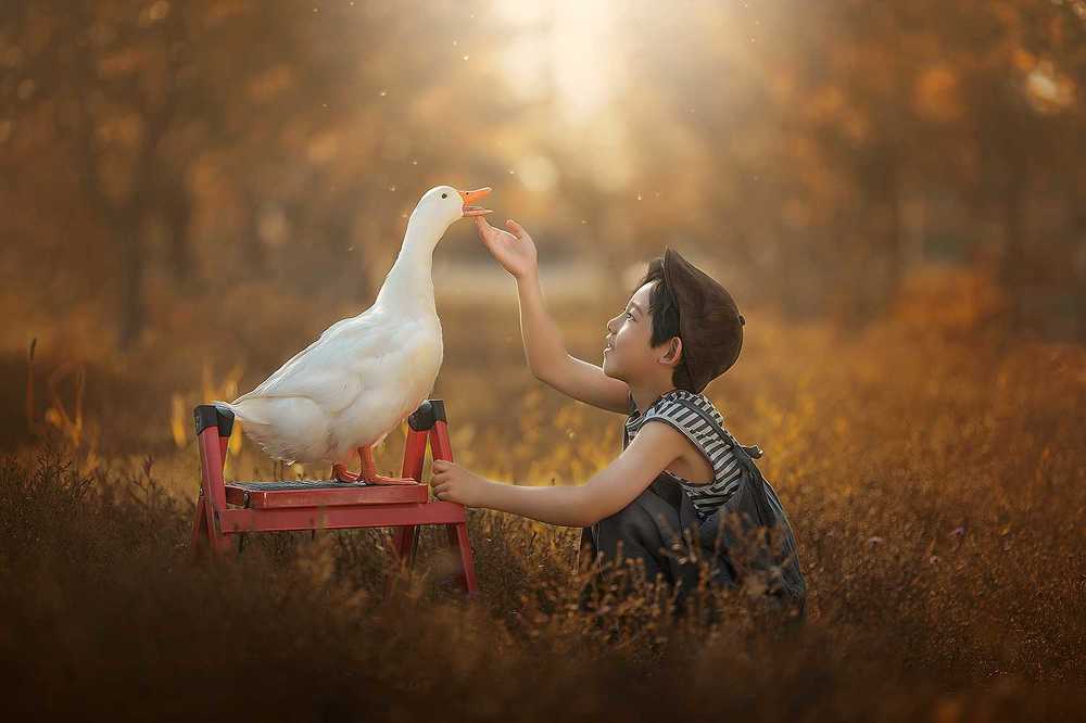 Photograph by  姚文琦