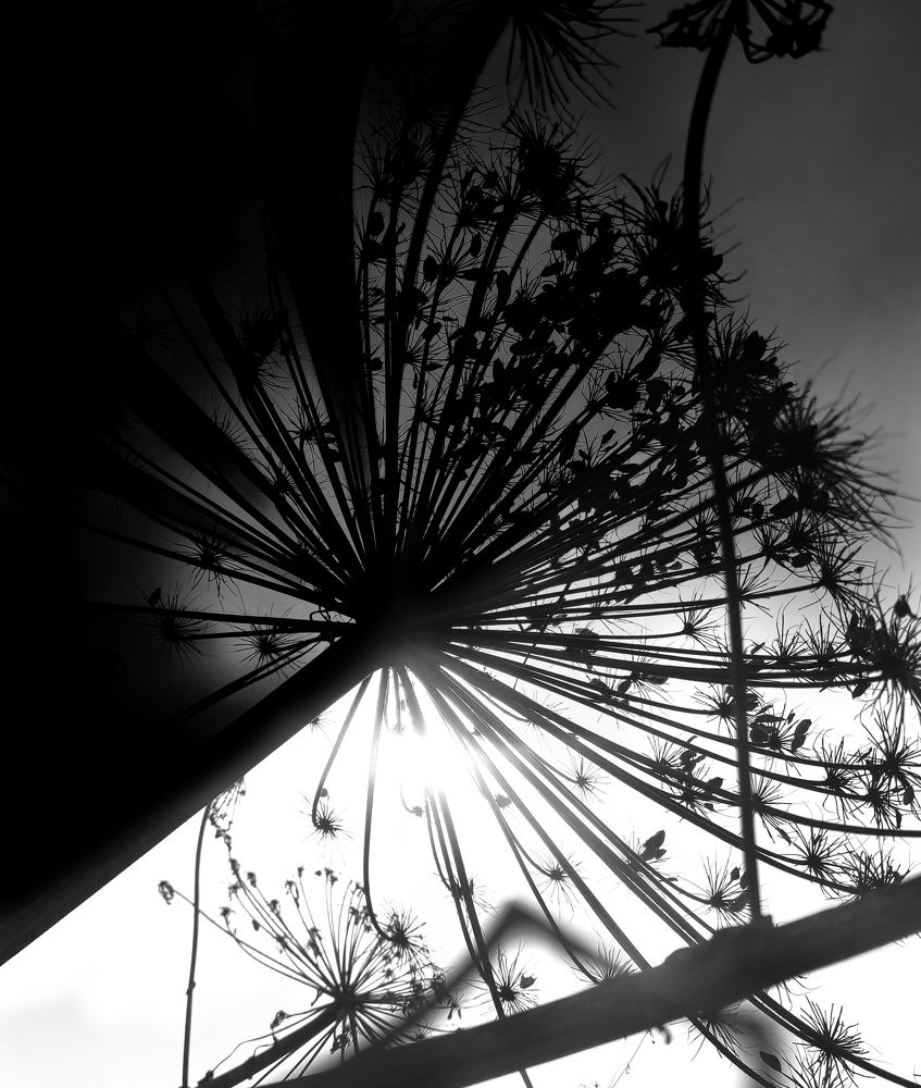 Photograph by Анастасия