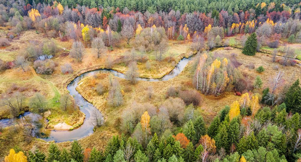 Photograph by Алла Толстая