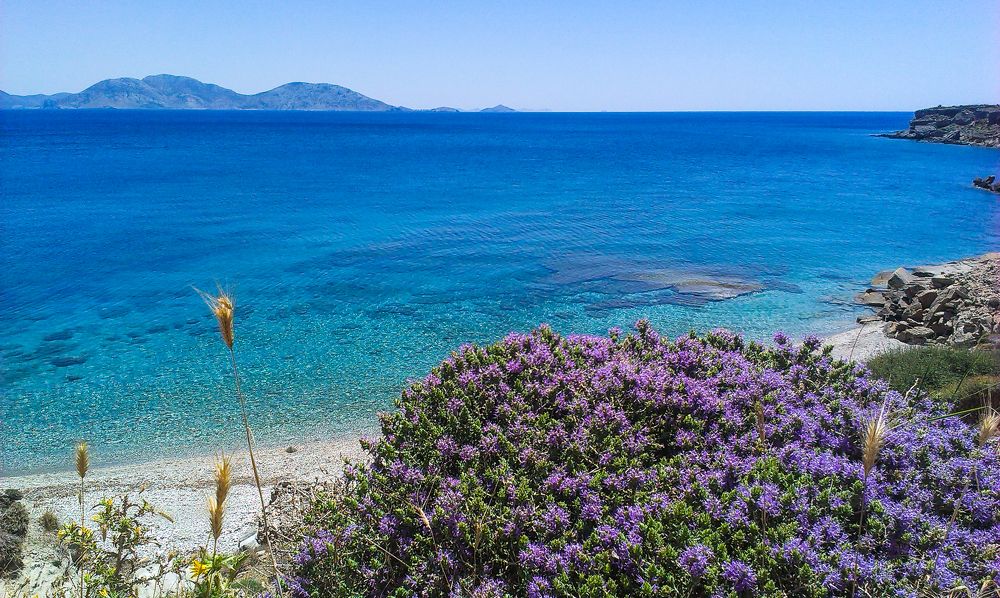 Photograph by Alexandra Sergeeva