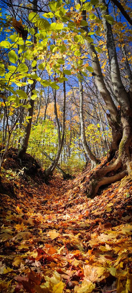 Photograph by Анастасия