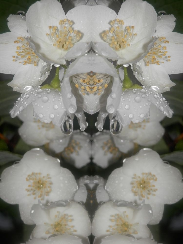 Photograph by Георгий Салюков